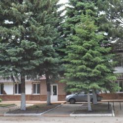 Водолей — 685d40bbcbfc0723b1cf16a1e1f49717