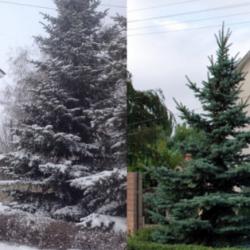 Фото Отель На Светлой