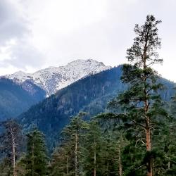 Фото Апарт-отель Les (Лес)