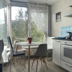 Фото Апартаменты InRoomSPb на улице Ивана Фомина 3
