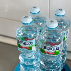 фото 11 Гостевые студии Екатерины Бочкаревой на проспекте Мира 184