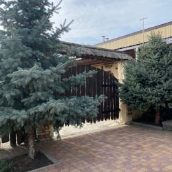 Фото Отель Хуторок