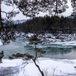 Фото Парк-отель