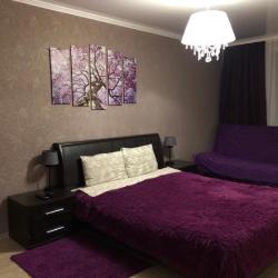 Фото Апартаменты на улице 2-я Шацкая