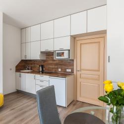 фото 21 Rental (РенталСПб) на улице Среднерогатская 9