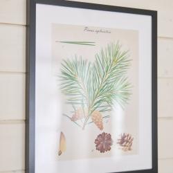 2-местное 1-комнатное шале премиум