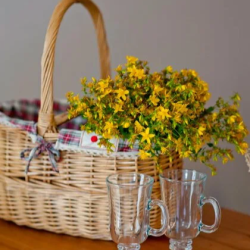 Фото Отель Plantage на Пионерской (Плантаж)