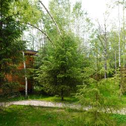 Фото Отель My Little Forest (Май Литл Форест)