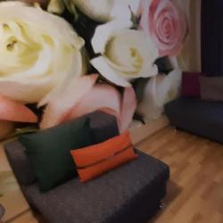 Фото Апартаменты на улице Грибоедова 8