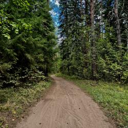 Фото Отель Biathlon Village (Биатлон Вилладж)