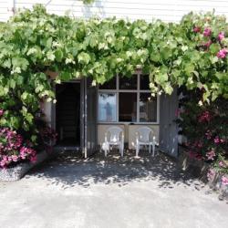 Фото Отель Ариода