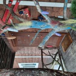 Номер стандарт эконом с 1 двуспальной кроватью