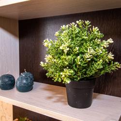 2-комнатные апартаменты люкс