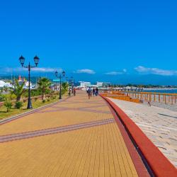 Фото Отель Viva Магнолия (Вива)