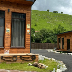 Фото Отель Ривер Хаус