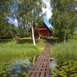 Фото Отель Гостевой дом у Лесного озера