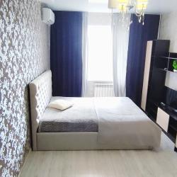 Фото Апартаменты на улице Рогожникова 17