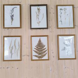 Фото Отель Шанти - гостевой дом и сауна