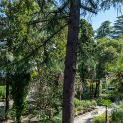 Фото Апартаменты на бульваре Цветной