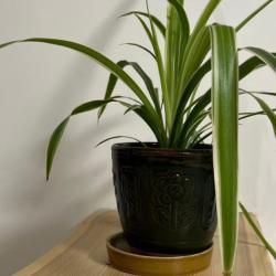 Апартаменты студия