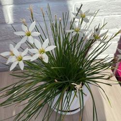 Фото Отель Лаундж на улице Путиловская 20