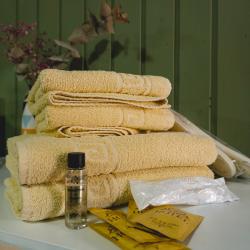 Фото Отель Усадьба