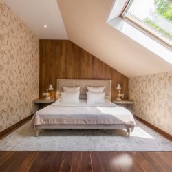 2-комнатный номер люкс с 1 двуспальной кроватью (мансарда) № 5