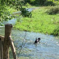 Фото Отель База отдыха Страна души