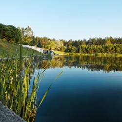 Фото Отель Alfa Radon Medical and Spa Resort (Санаторий Альфа Радон)
