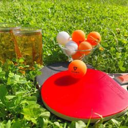 Фото Отель Дом