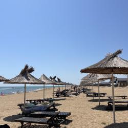 Фото Отель Пинк Хаус