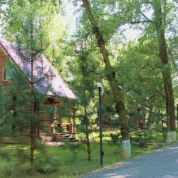 Фото Парк-отель Пересвет