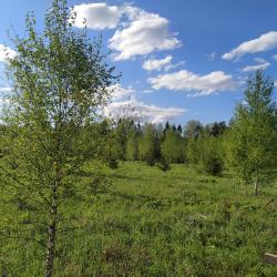 Фото Отель Лоза Резорт