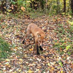 Фото Отель Уют