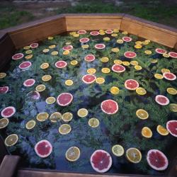 Фото Отель ДухЛес