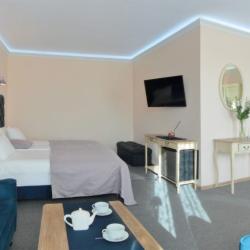 Фото Отель Серый Гусь