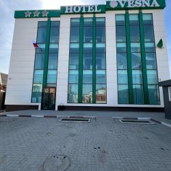 Фото Отель Vesna (Весна)