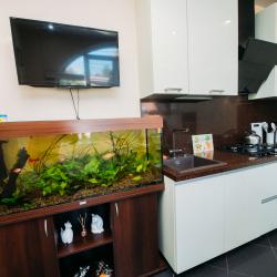 Фото Апартаменты на улице Лежневская 109