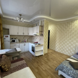 Фото Апартаменты President на улице Карла Либкнехта 112