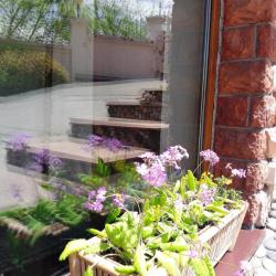 Фото Отель Бумеранг