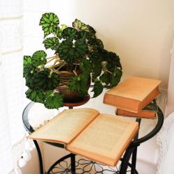 Фото Отель Золотой Гусь