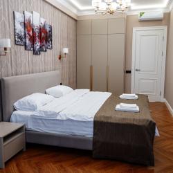 Комната люкс с 1 двуспальной кроватью