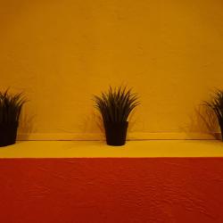 Фото Отель Mexico (Мексика) (бывш. Аврора Центр)
