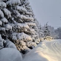 Фото Отель Лапландия