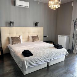 2-местный номер стандарт Сталь