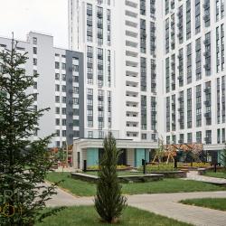 3-местные апартаменты студия