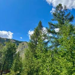 Фото Отель Софийская поляна