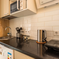 Фото Апартаменты Floris Apartments (Флорис Апартменс) у Невского