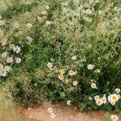 Фото Отель Тутань