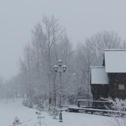 Фото Отель Волынь